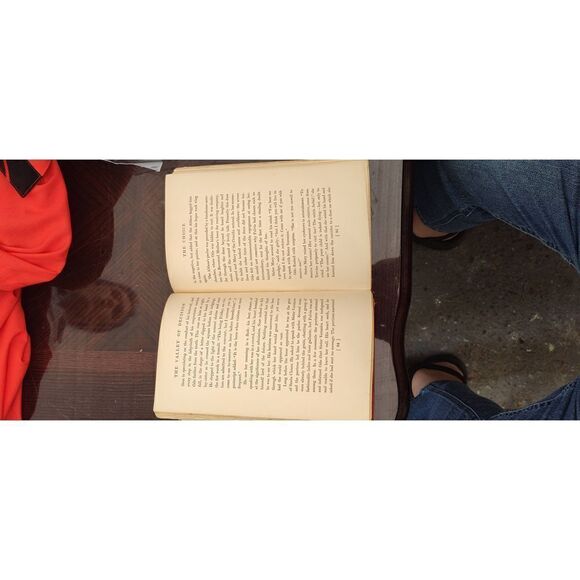 THE VALLEY OF DECISION II by Edith Wharton 1902. Previous library book w marking - Picture 9 of 12